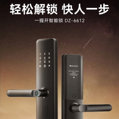 樱花DZ6612智能门锁（含门锁锁体+辽宁省全区域上门安装）